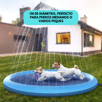 Pack alfombra aspersora Aquapeludo & Mimos