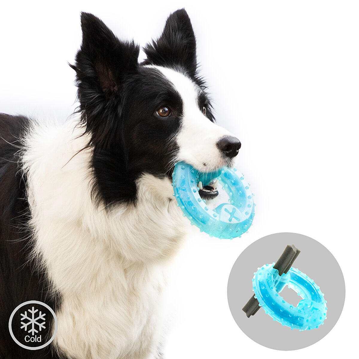 Mordedor Refrescante 2 en 1 para Perros – Alivio y Diversión en Verano